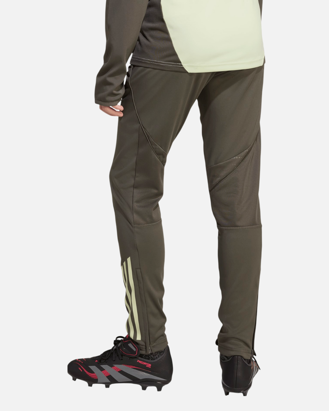 Pantalon Adidas REAL MADRID Junior 2025/2026 - Vert