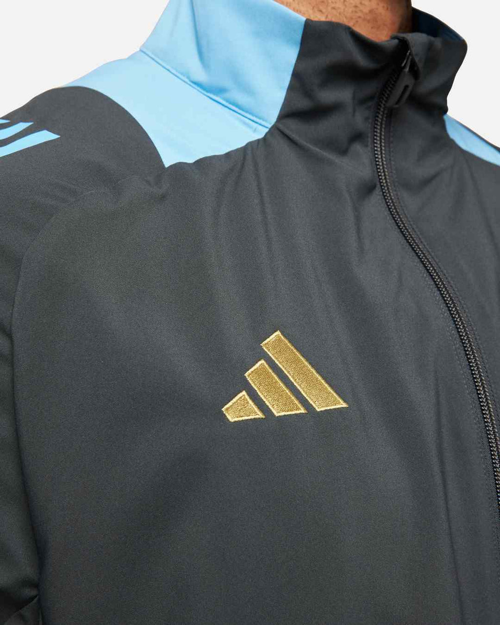 Veste de survêtement Argentine 2024 - Gris/Bleu